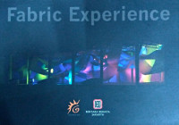 Image of Fabric Experience: Art Installation, Performing Art, Object Art, Painting